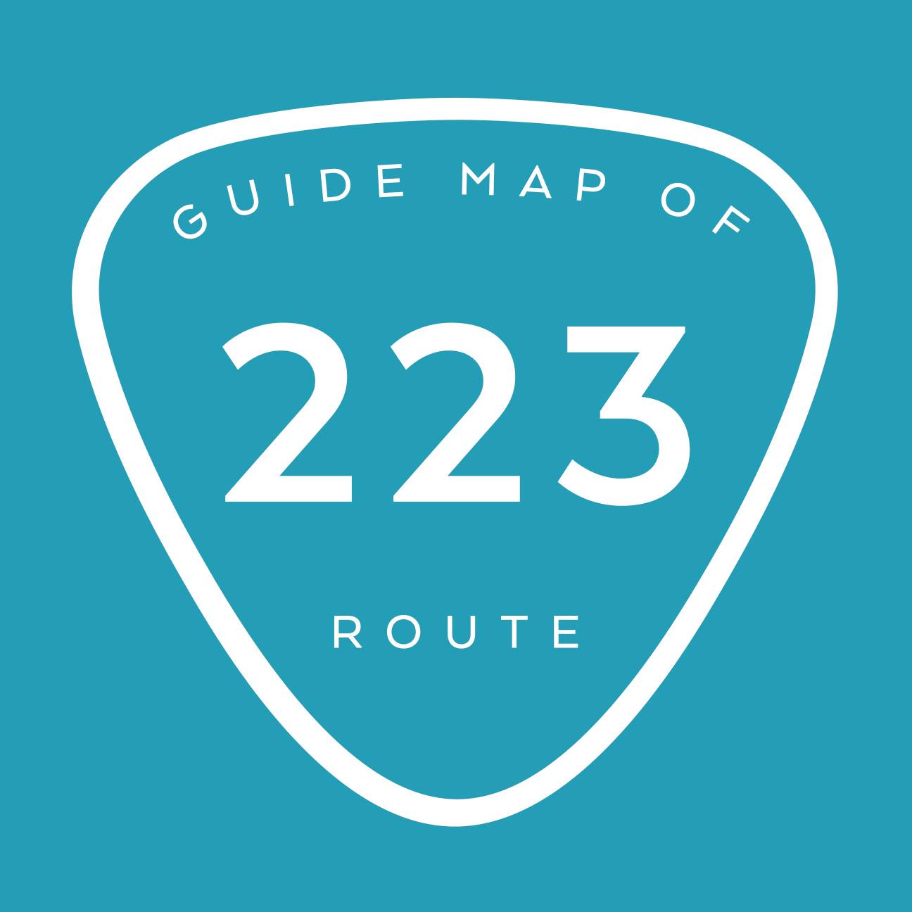 R223