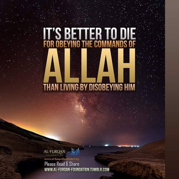Revert muslims