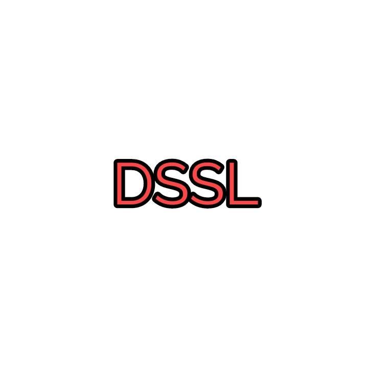 DSSL PVT LTD