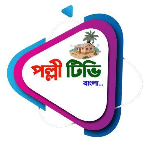 পল্লী টিভি