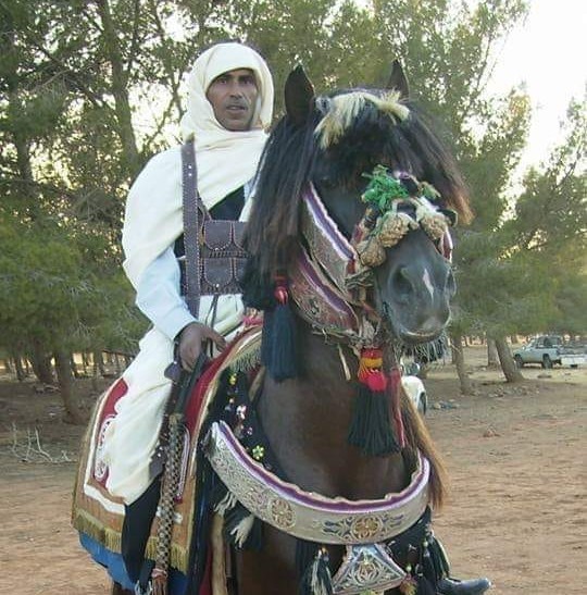فرسان وخيول برقه