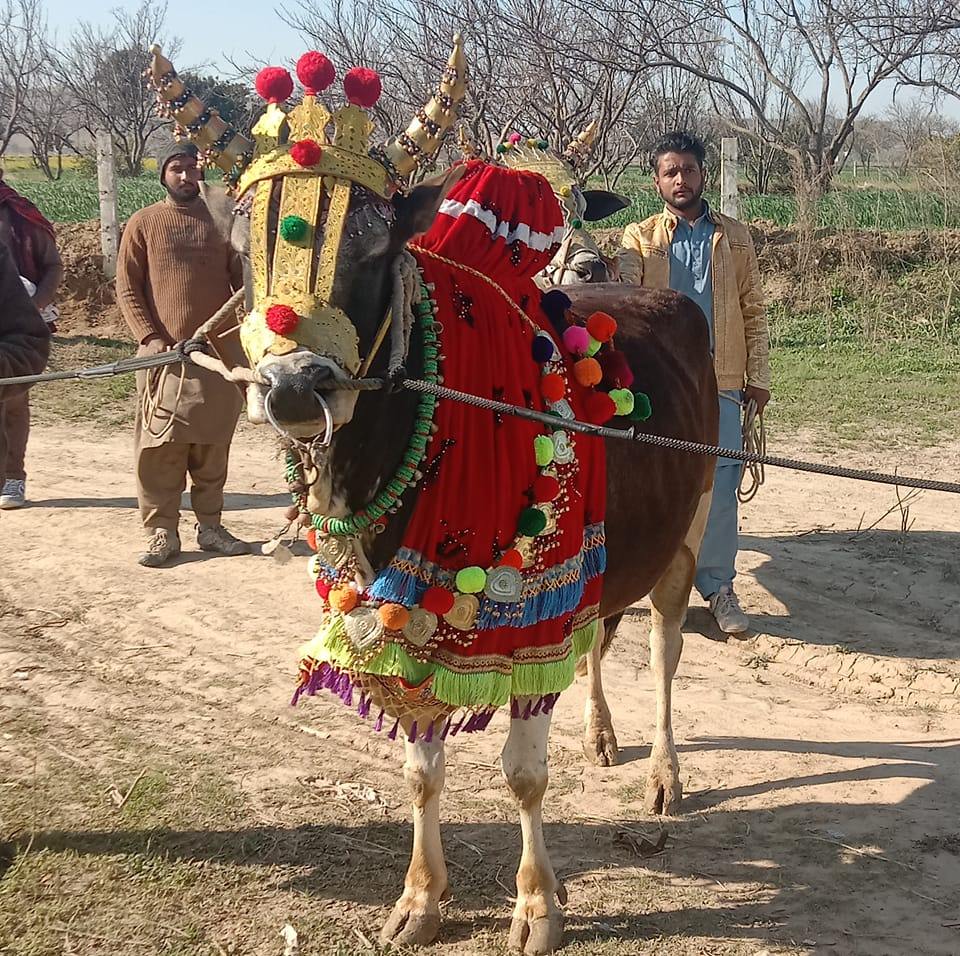 کراہ دلیل پور