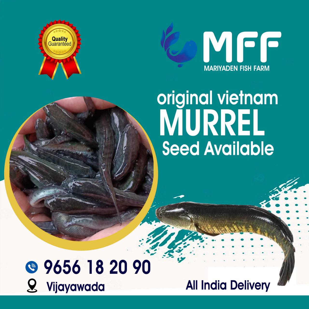 Mariyadan fish farm | Mattanur