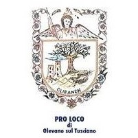 Profile for La Pro Loco Olevano Sul Tusciano