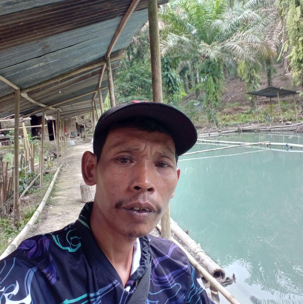 Kita Ready kan Lagi ikan nila Doton dan Haporas Ya Dongan. Yg berminat ...