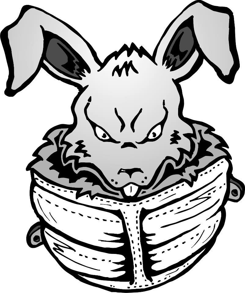 Goodbye Rabbit