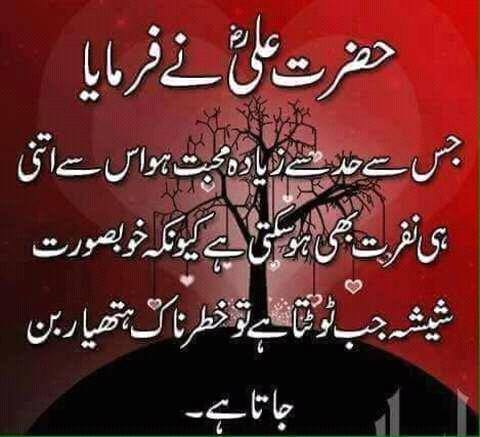 ?media_id=100080253937369