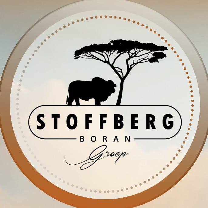 Stoffberg Boran Groep