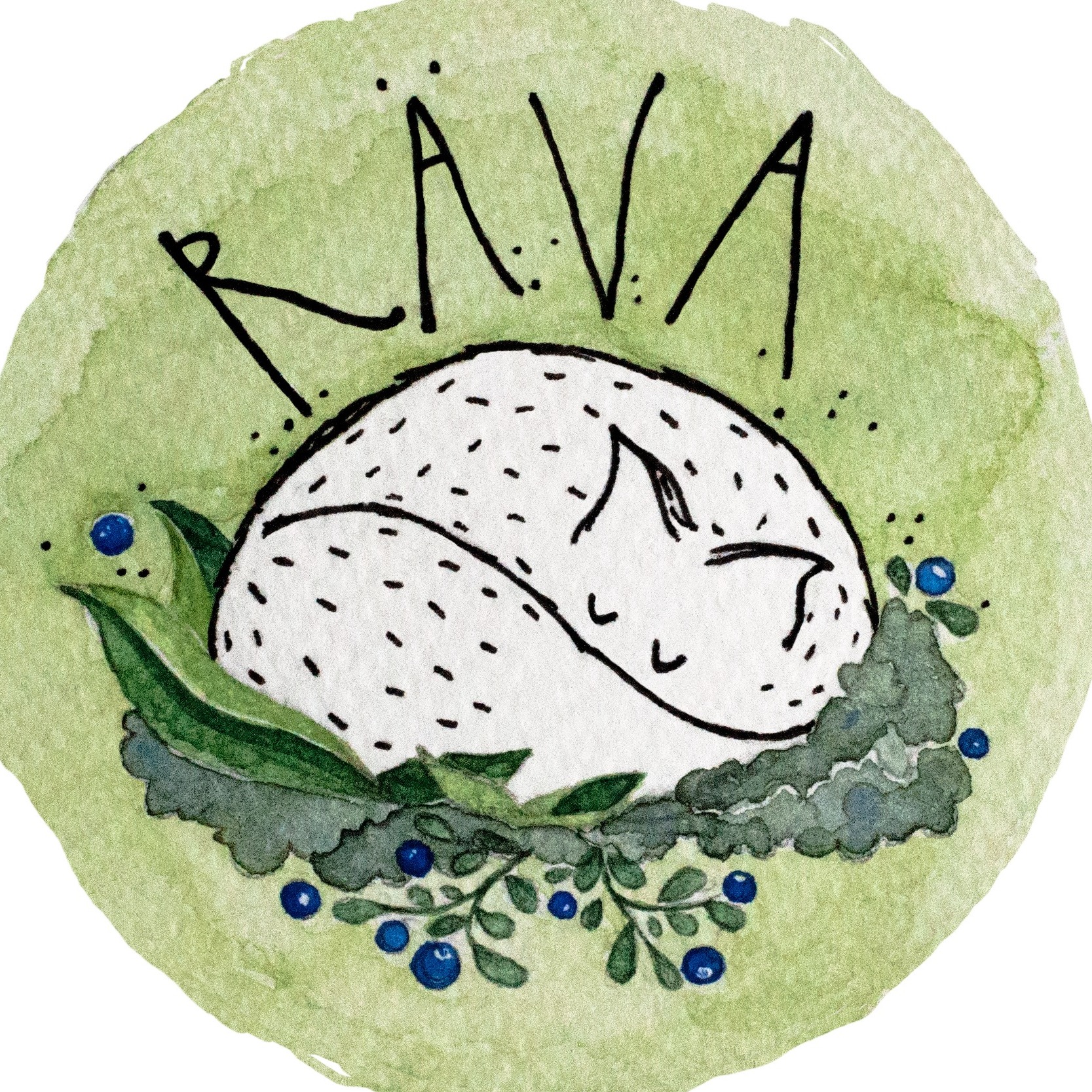 raeva.design