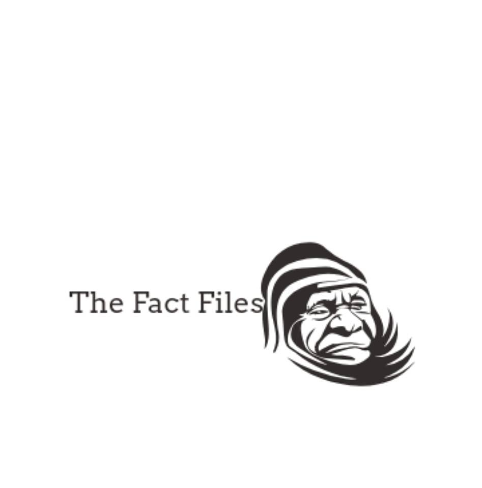 Reading Blue Mountain & Northern 2102 | The Fact Files