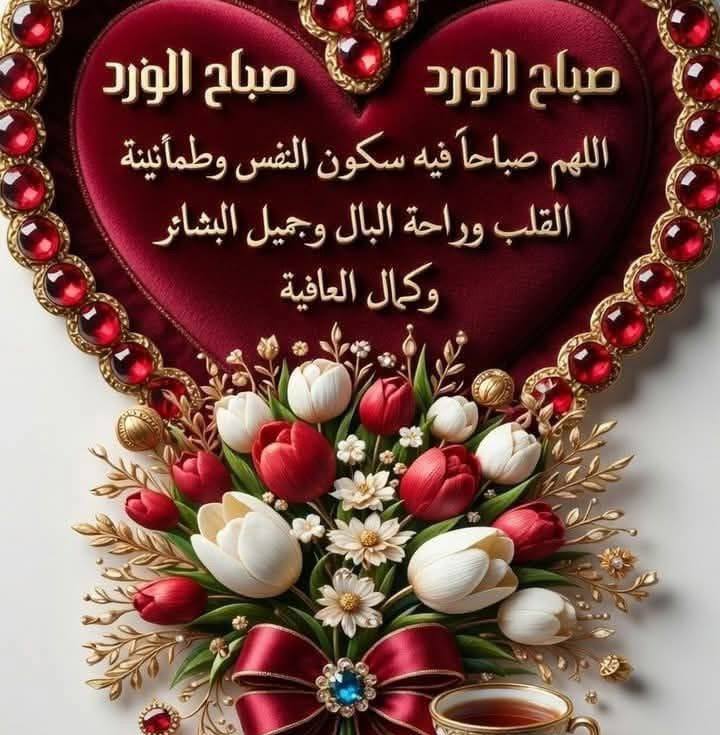 Ali Rif
