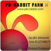 pb-rabbit