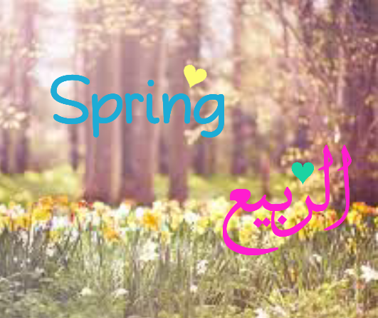 Spring الربيع