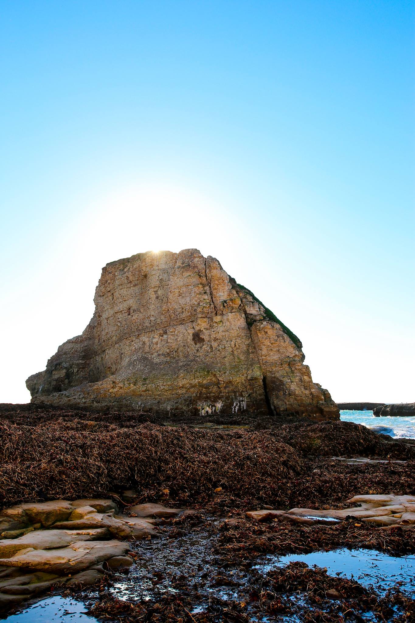 Alyssa Razo Photography | Carlsbad CA