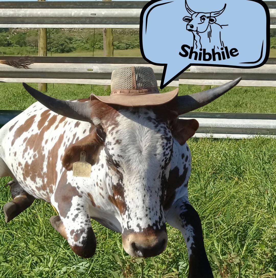 Shibhile Farm | Cato Ridge