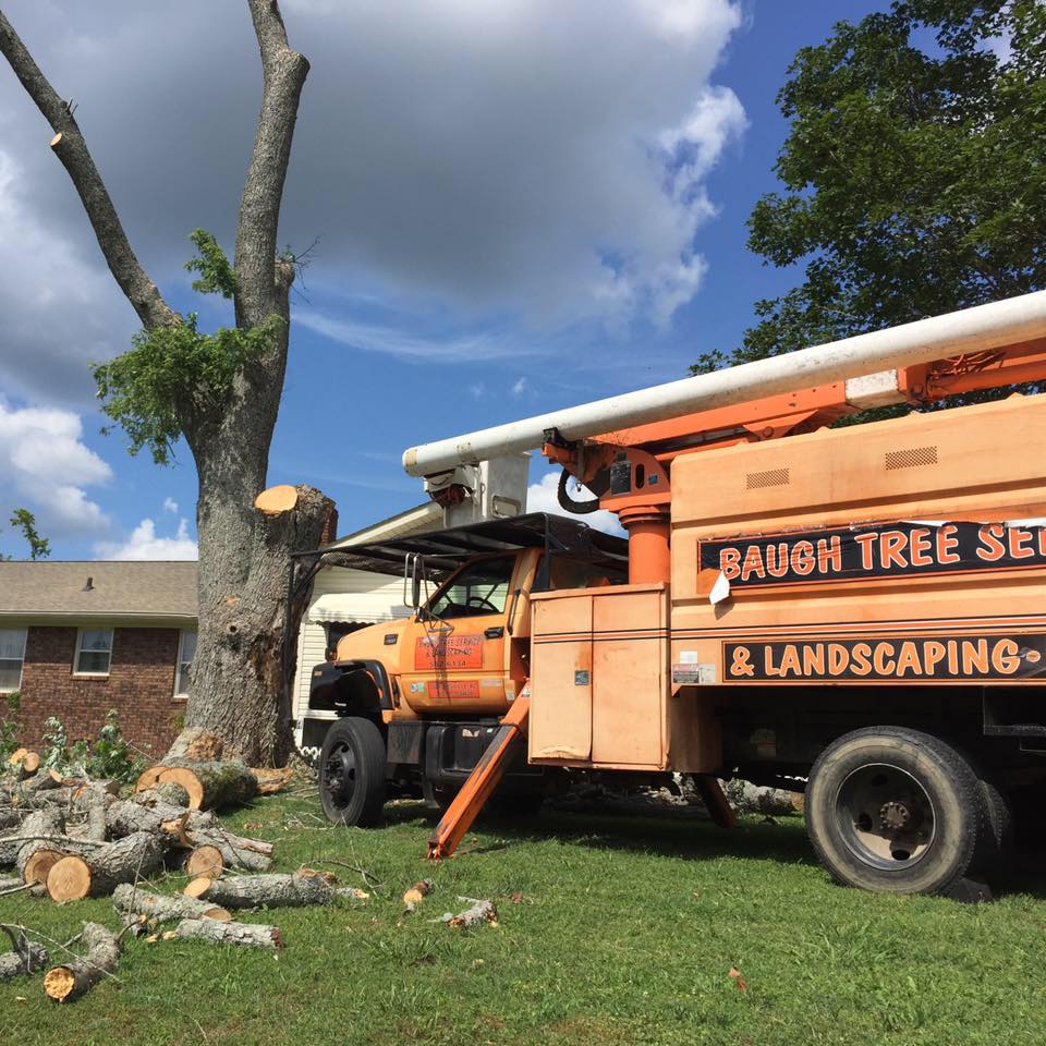 Baugh's Tree Service | Huntsville AL