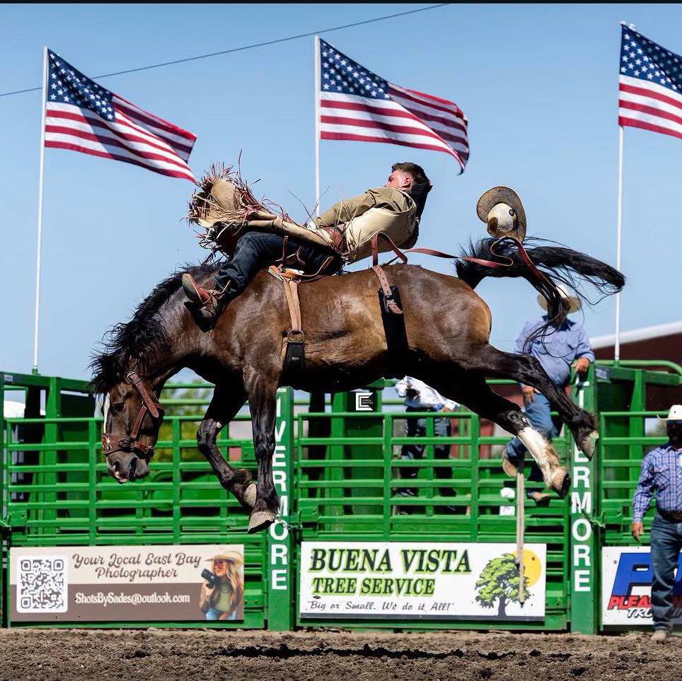Buena Vista Tree Service added... - Buena Vista Tree Service