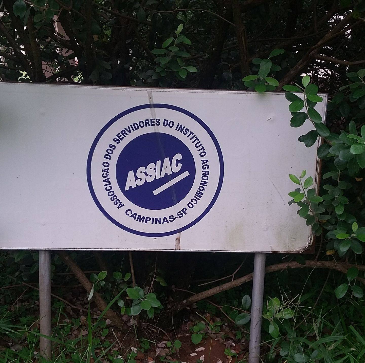 Assiac