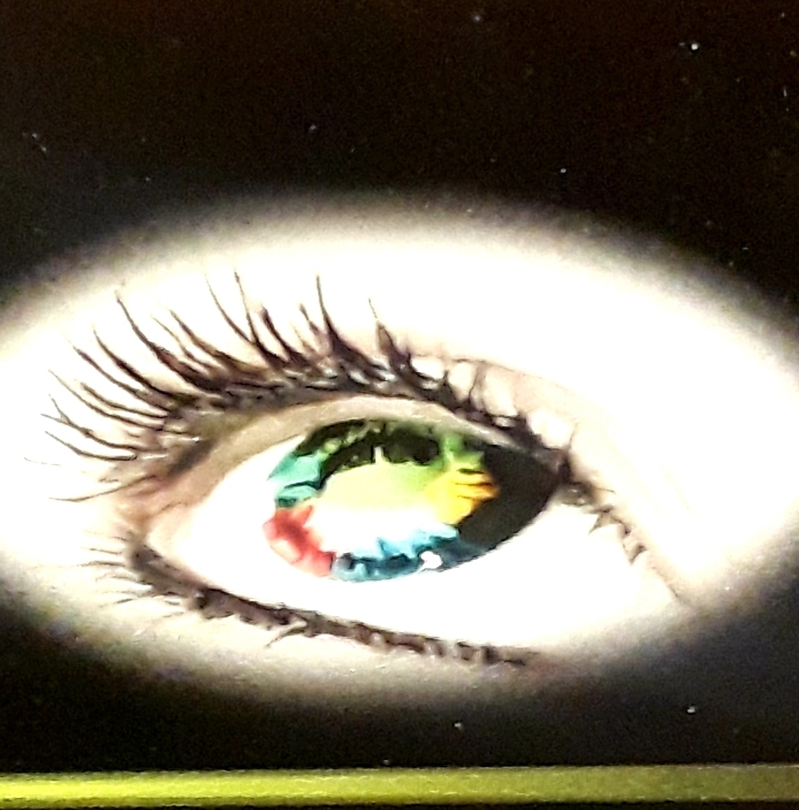 Inverted Vision