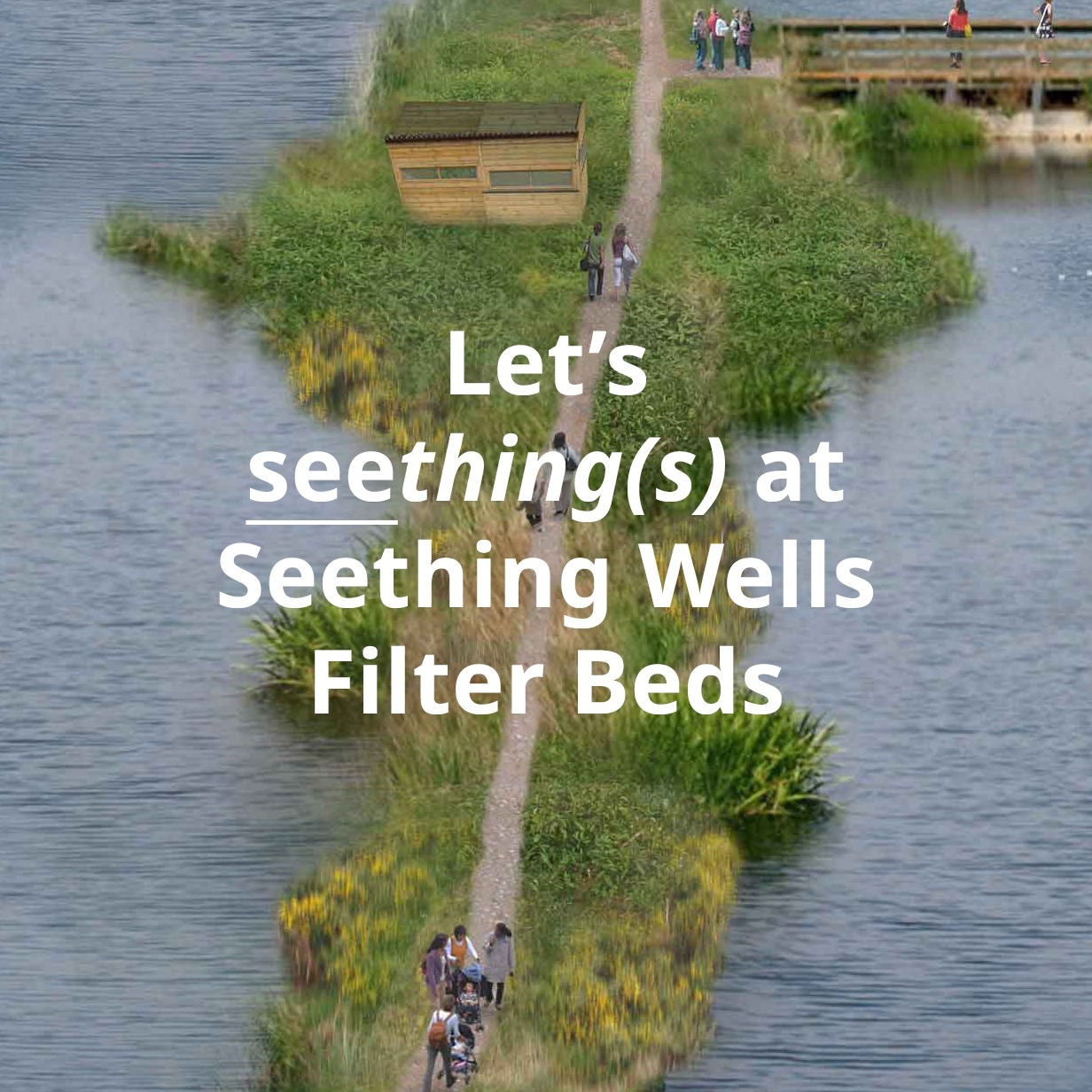 Seething Wells Action Group - SWAG | Surbiton