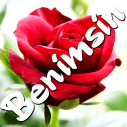 Ben Seni Çok Sevdim‎
