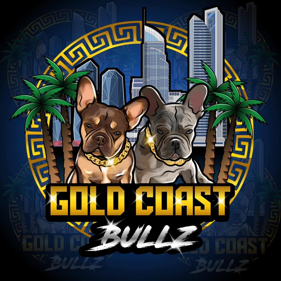 Gold Coast Bullz