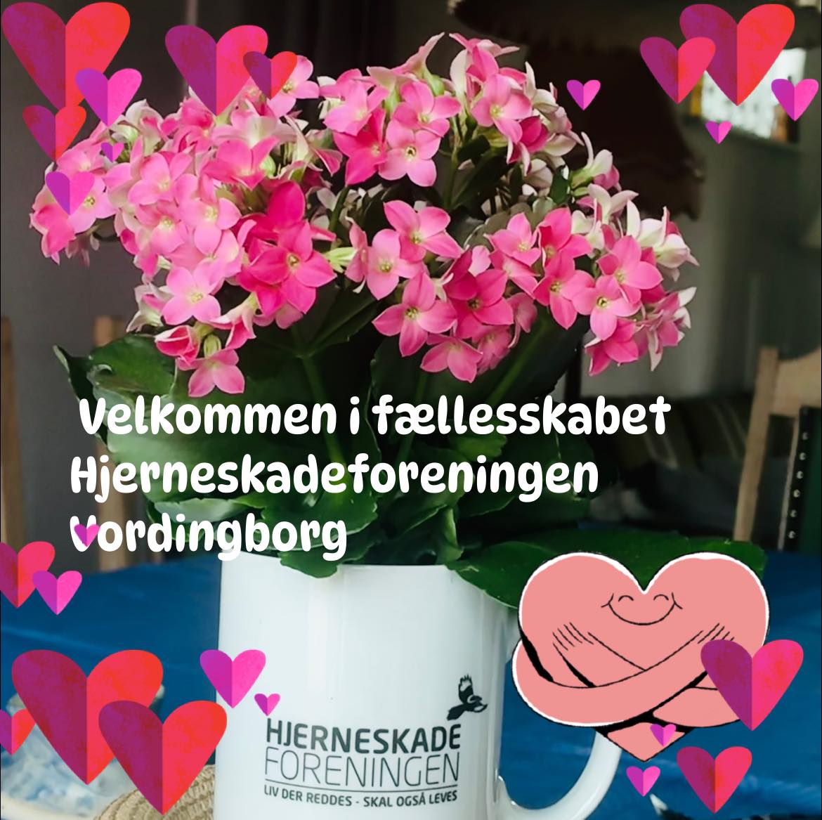 hjerneskadeforeningen-vordingborg-stege