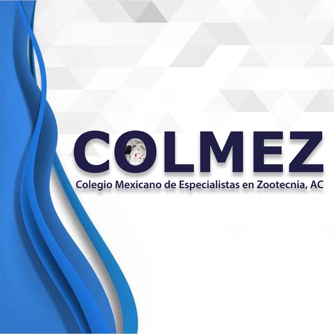 COLMEZ_a.c. | Municipio de Texcoco