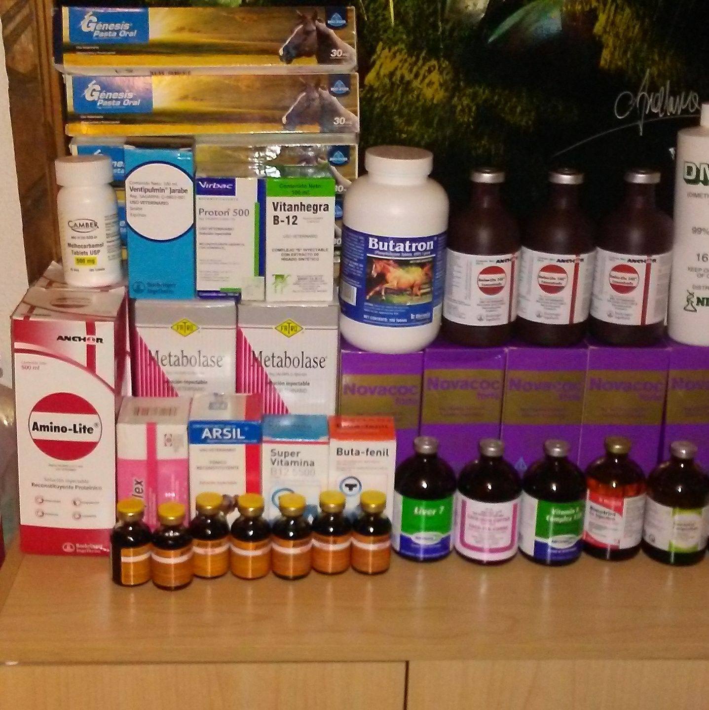 Vitaminas y sueros para caballos