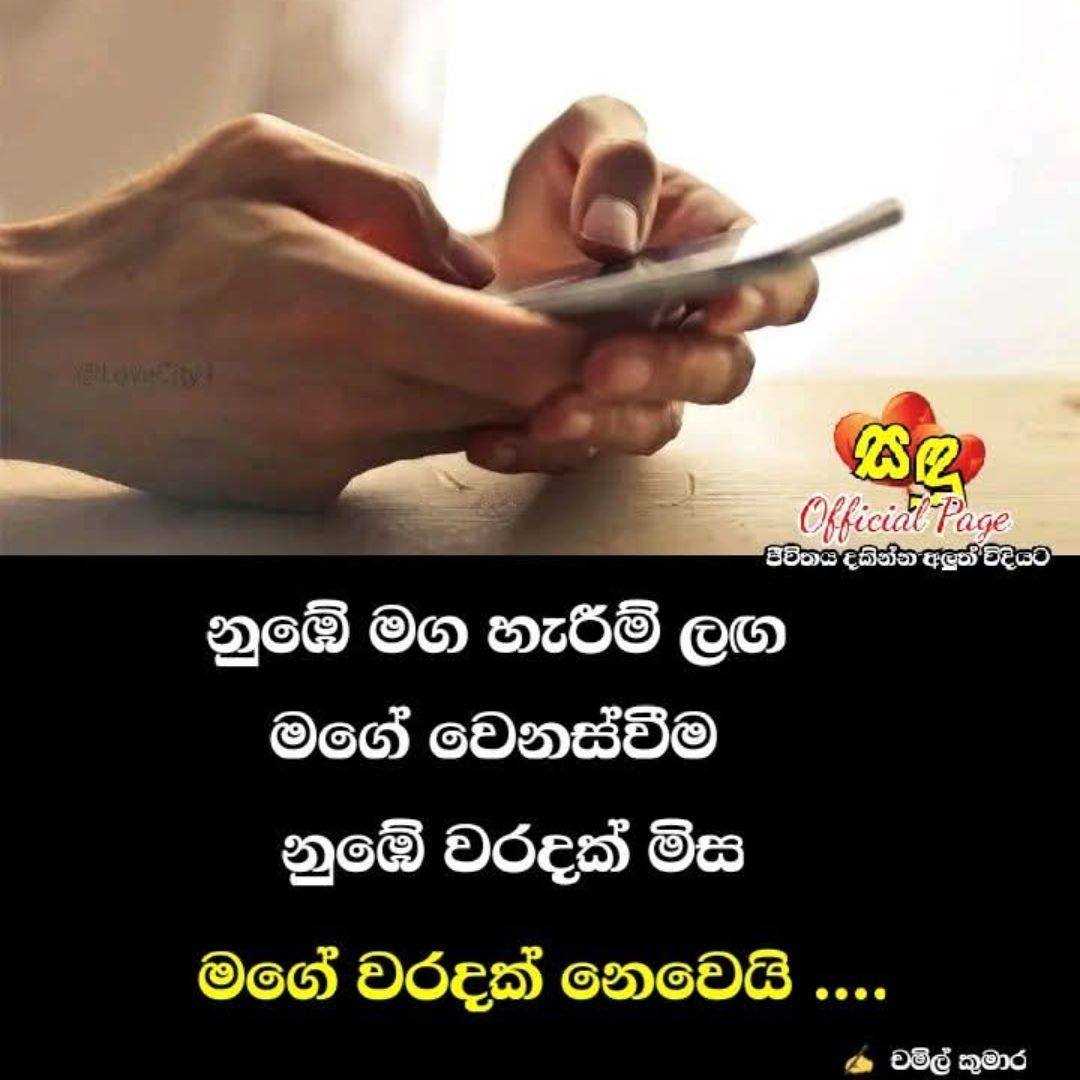 අවම මූලික මුදල 👉 𝐑𝐬,... - 𝐬𝐥𝐜𝐚𝐫𝐬.𝐥𝐤 - #srilankacars.lk | Facebook