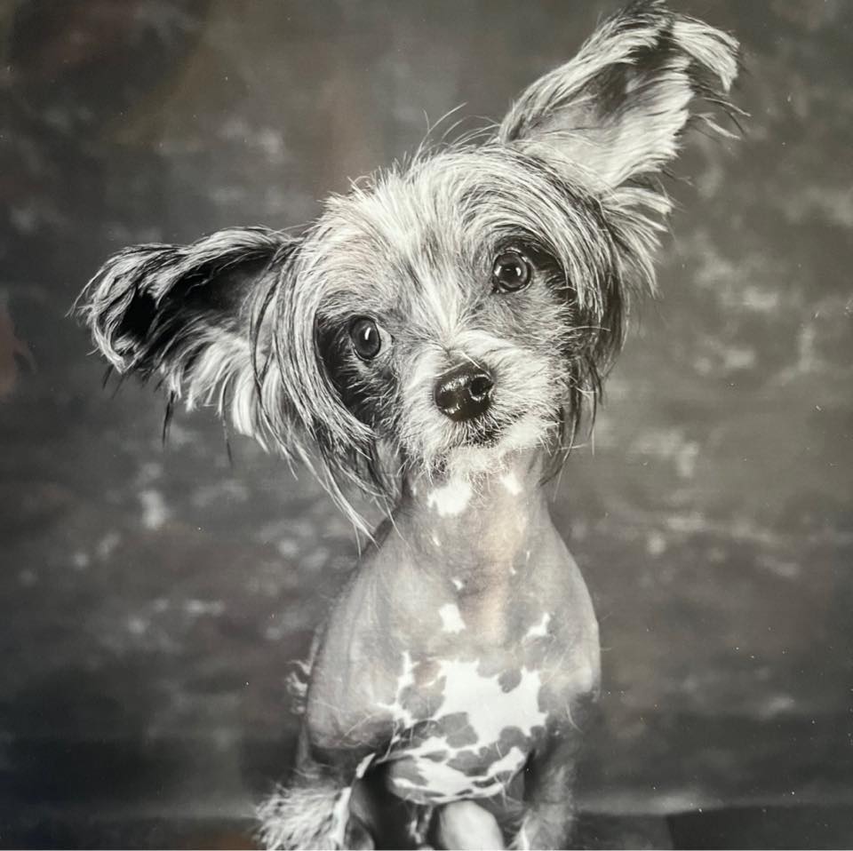 Riley Rue Dlifeofrileyrue