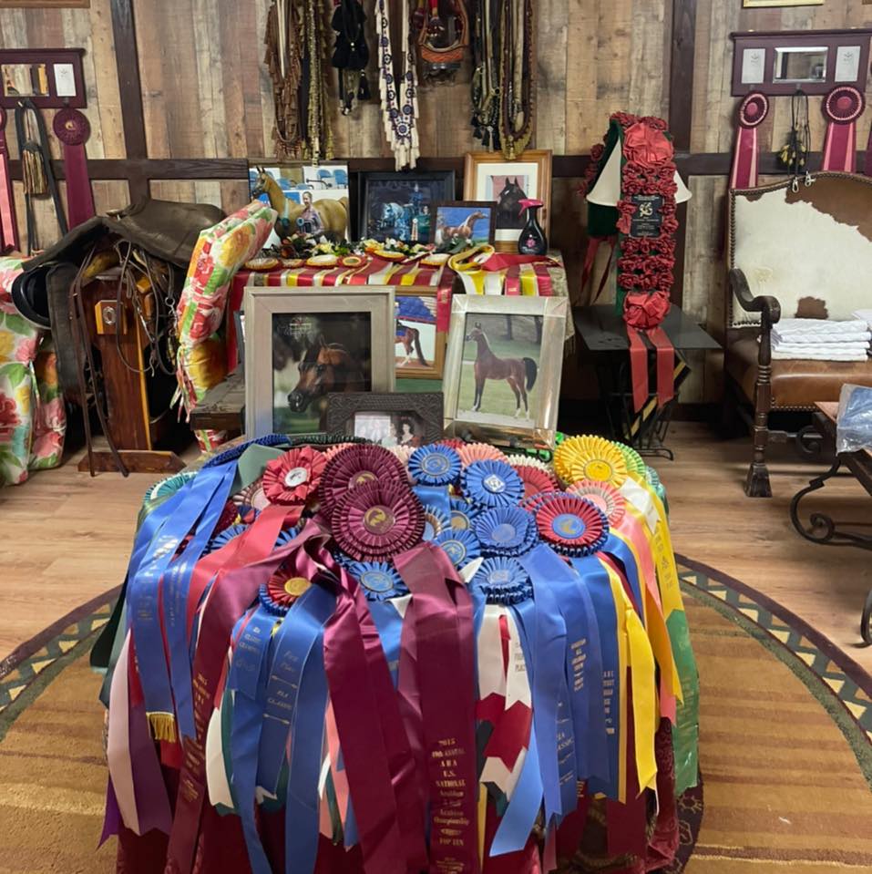 Blue Moon Ranch | Mineola TX