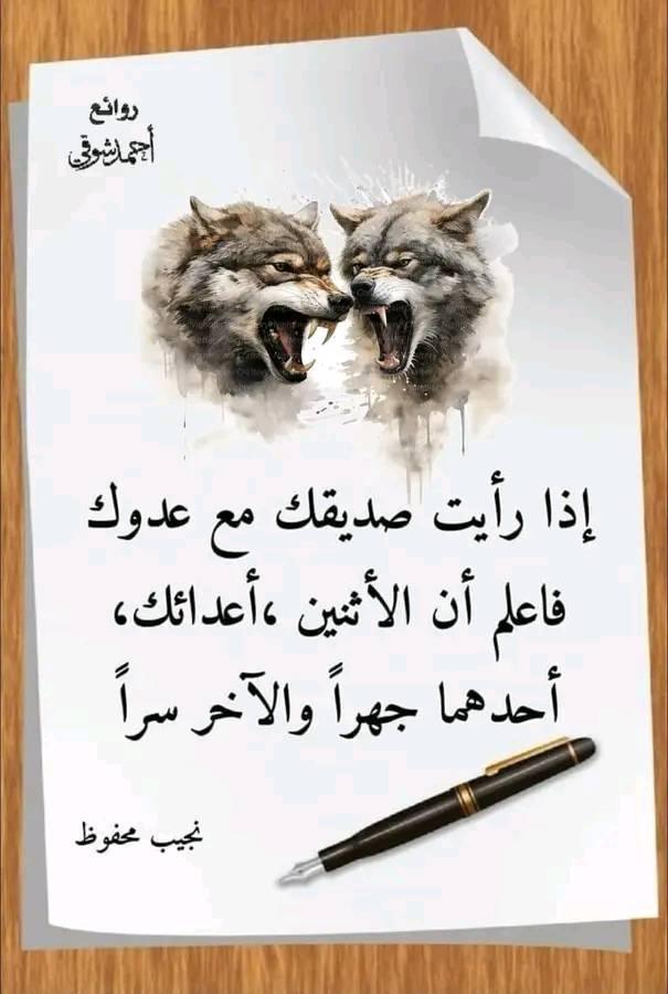 محمد مجاھد