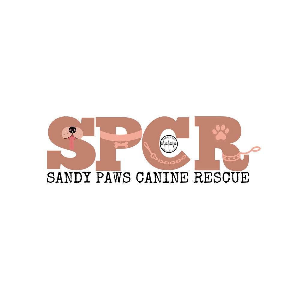 Sandy Paws Canine Rescue | Fort Lauderdale FL