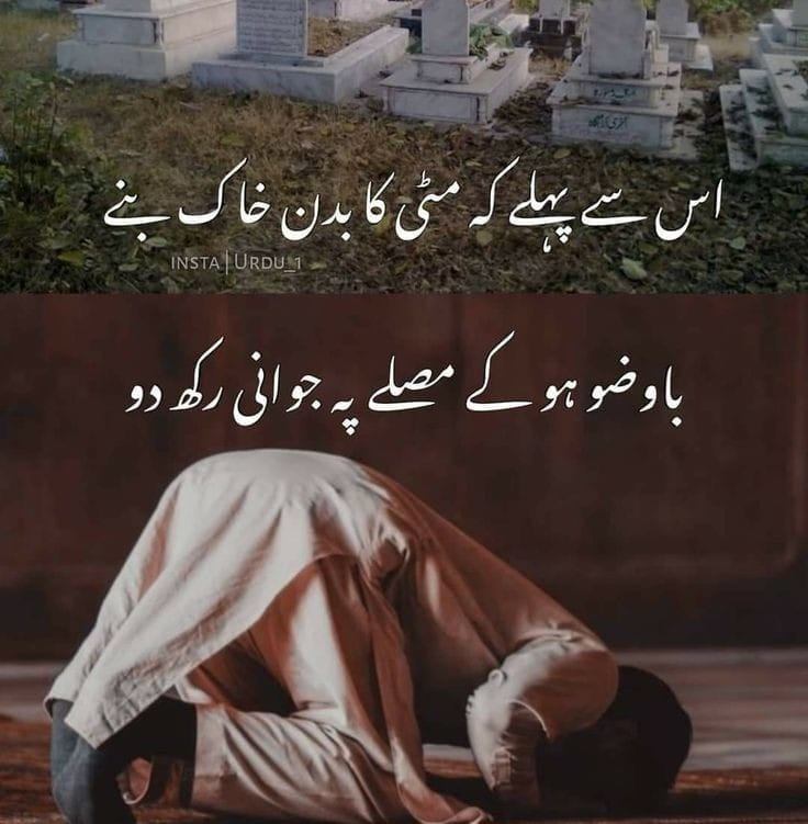 Aiman Rafique - 🌙 Eid ul Adha Mubarak 🌙 💕 @highlight | Facebook