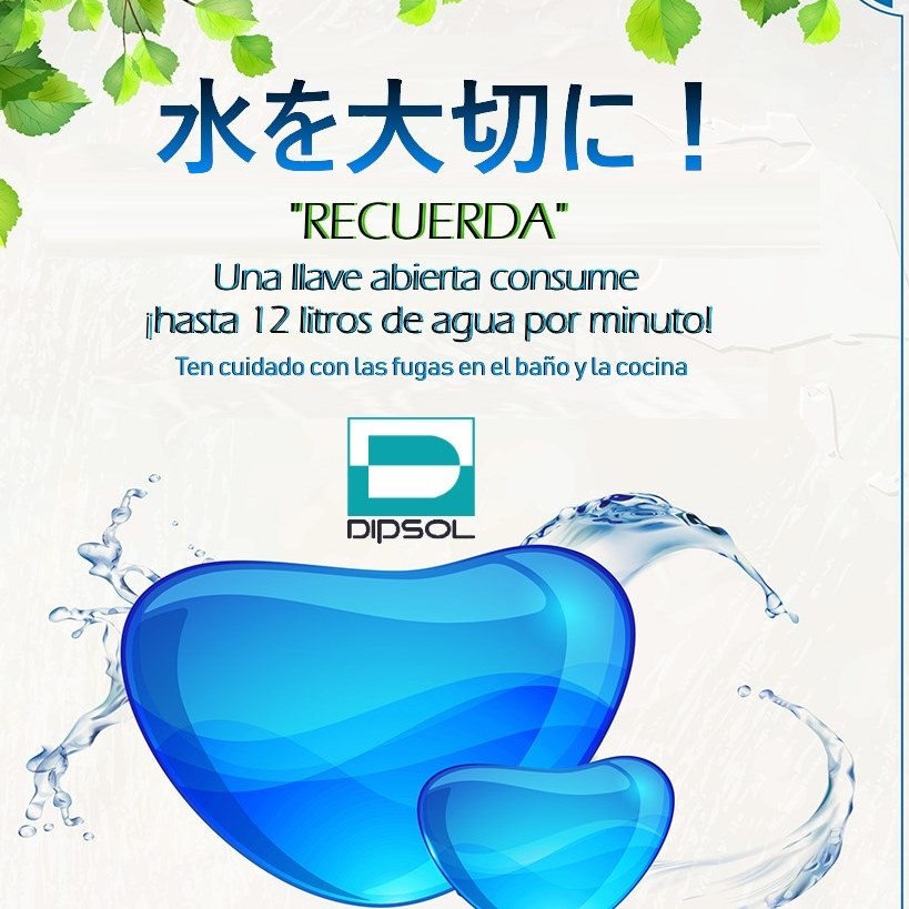 Dipsol Mexico | Irapuato