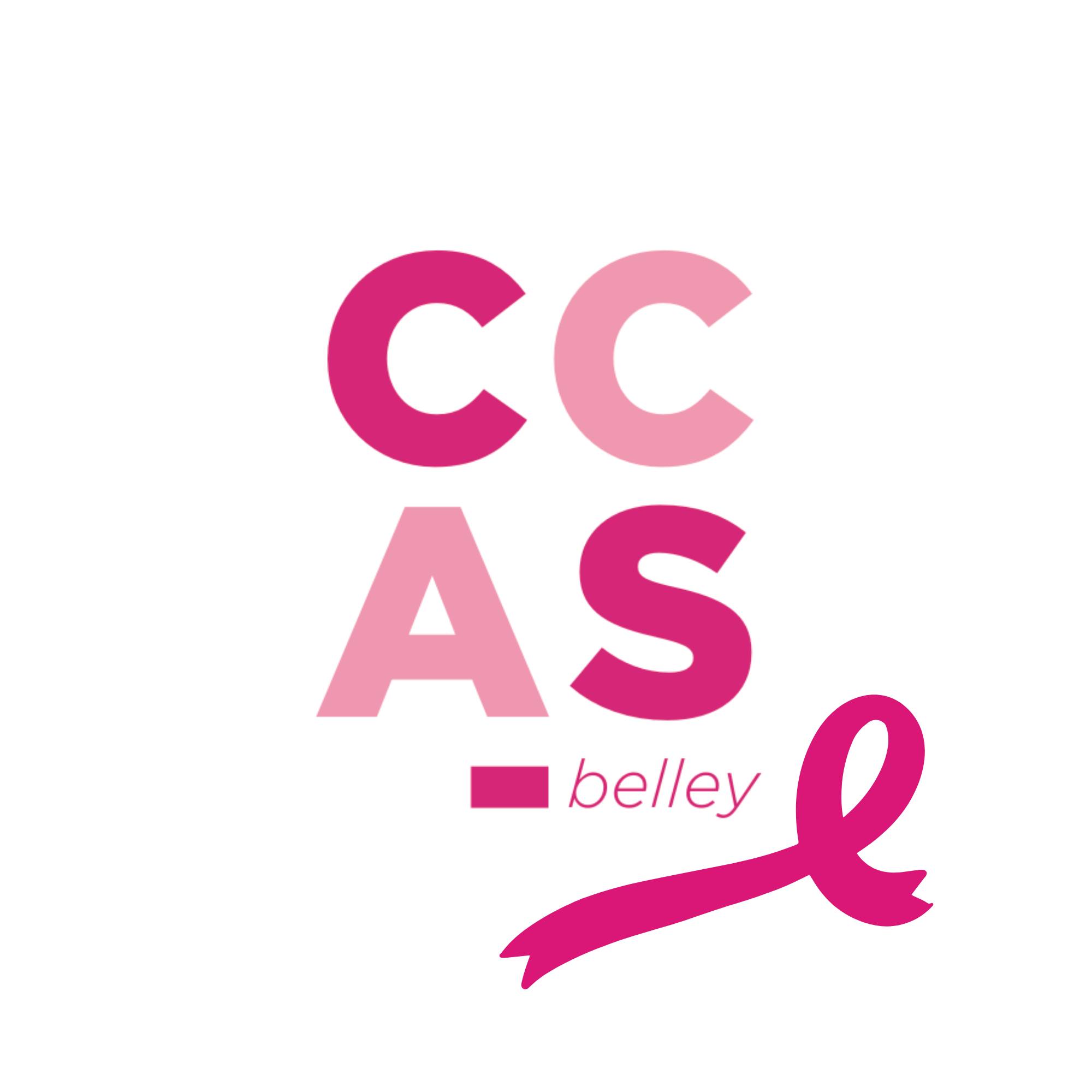 CCAS - 🎉 FORMATION BAFA À BELLEY – INSCRIPTIONS 2026 OUVERTES ! 🎉 Tu as ...