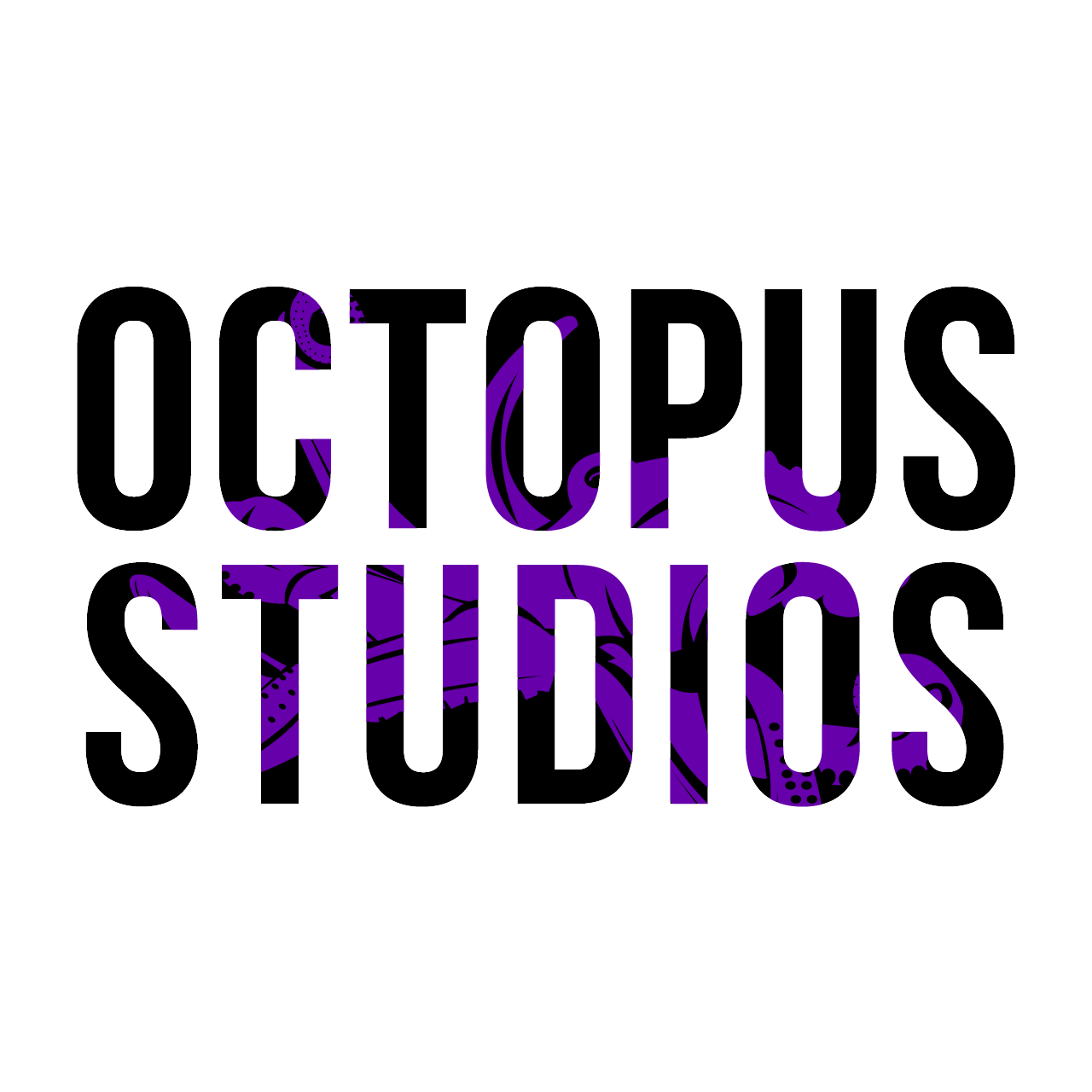Octopus Studios | Auburn NY