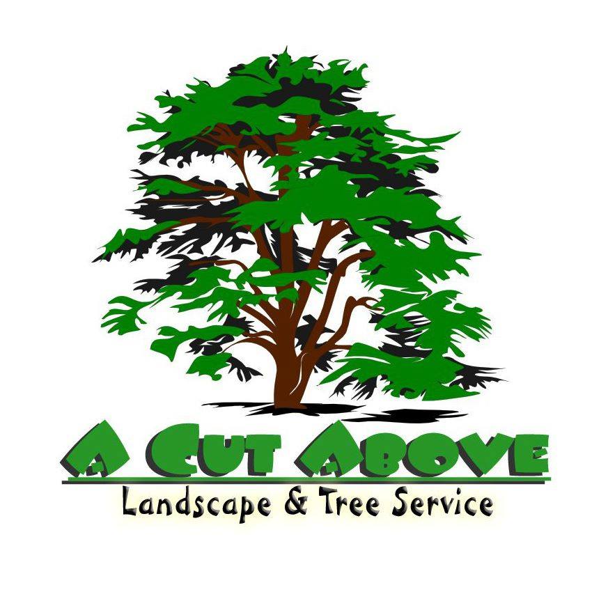 Fredericksburg & Spotsylvania's Premier Tree Service | Fredericksburg VA