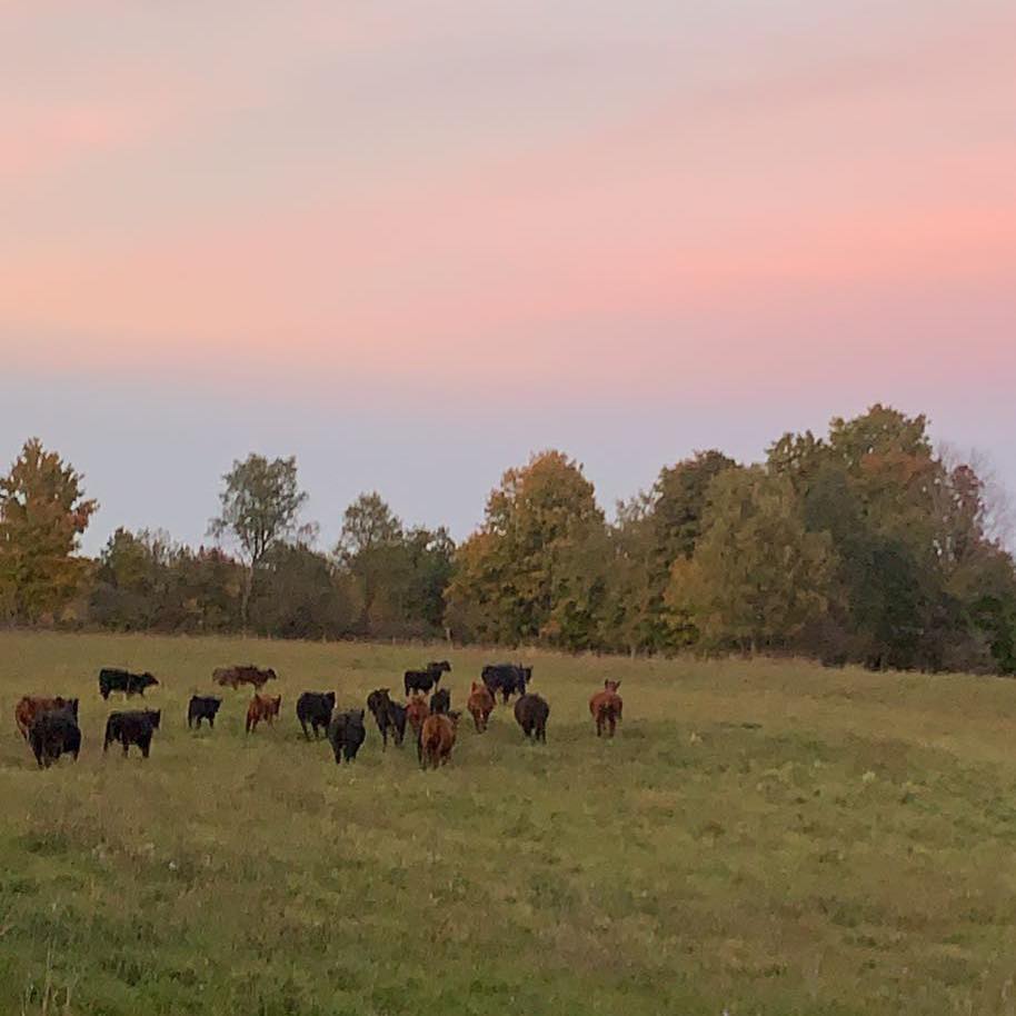 Booth family farm | Antwerp NY