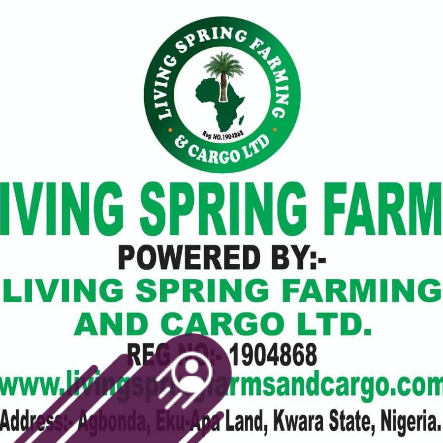 Living Spring Farms