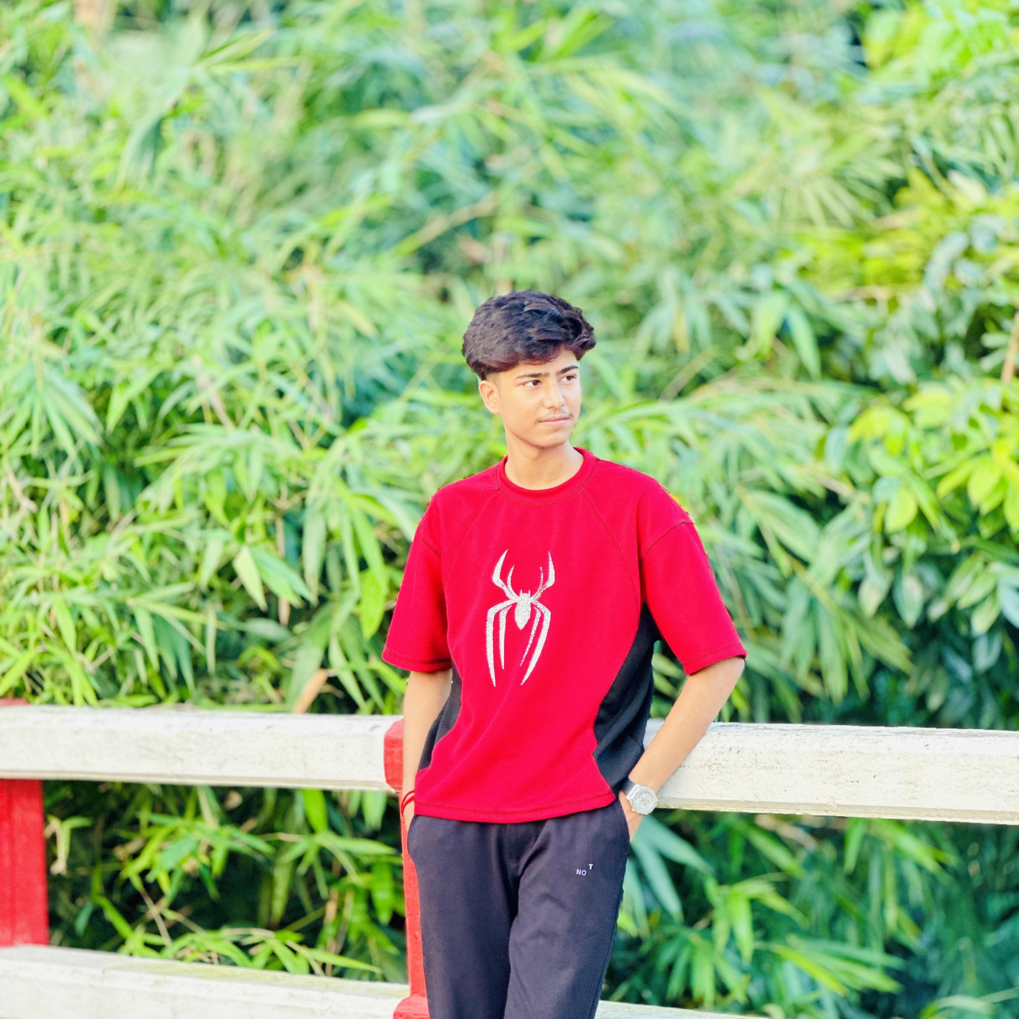 Raj Roy