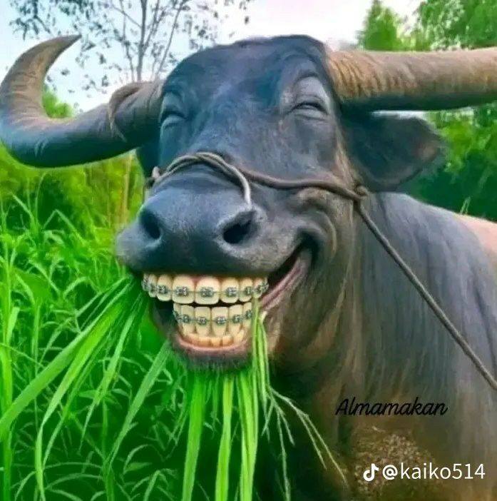 Funny Rambabu