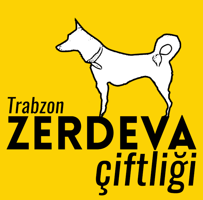 Zerdeva Çiftliği Trabzon