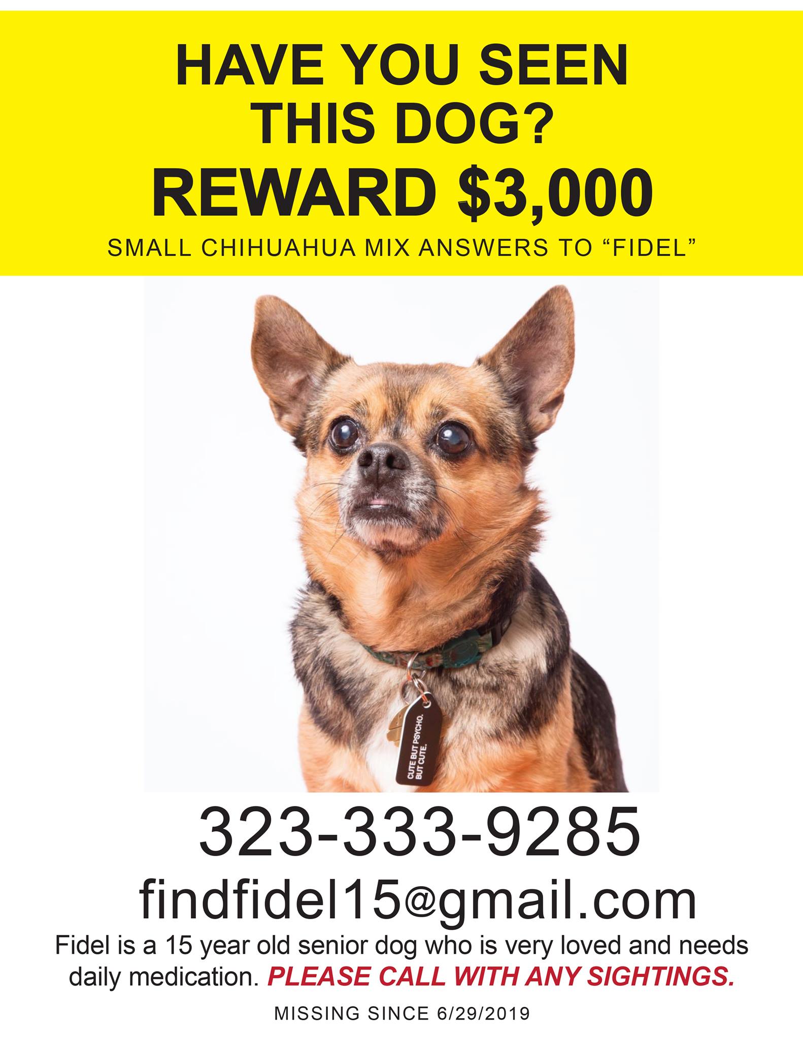 FIND FIDEL | New York NY