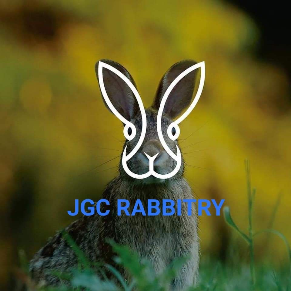 JGC Rabbitry | Santa Rosa