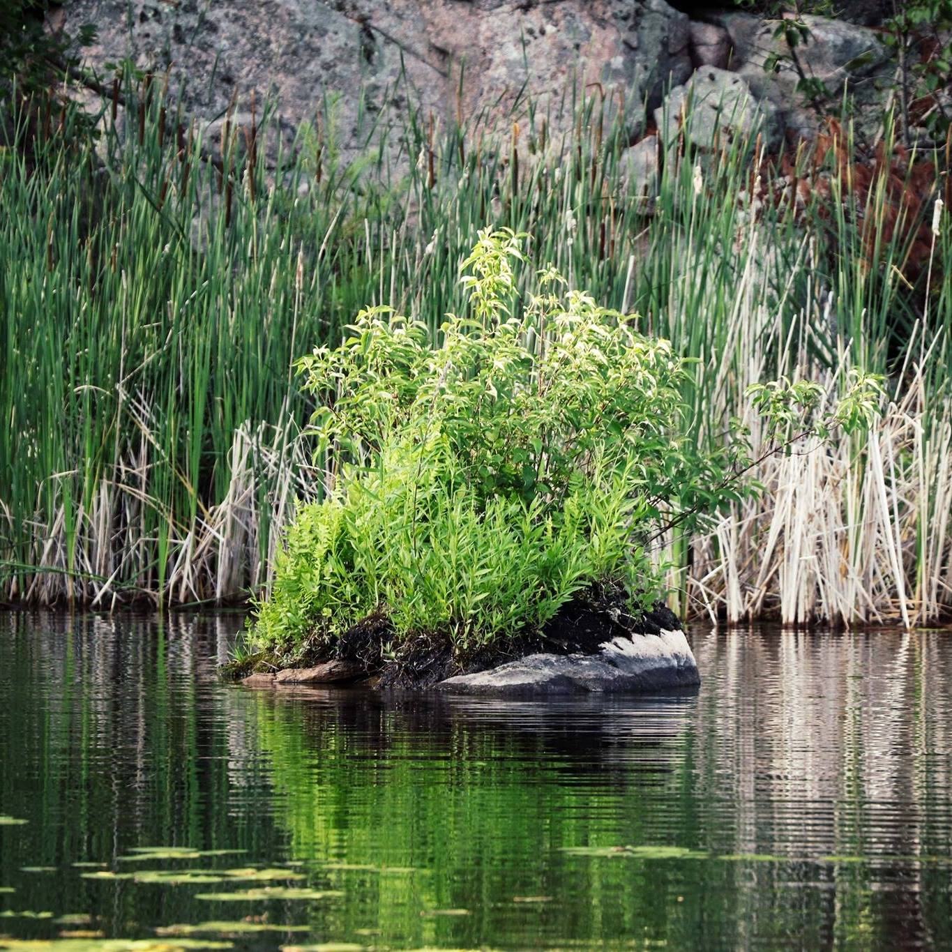 Stony lake lost channel journal