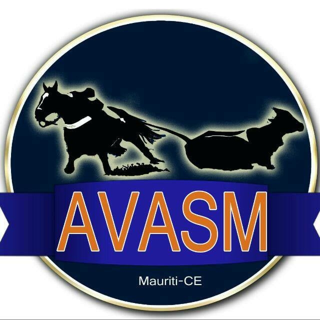AVASM