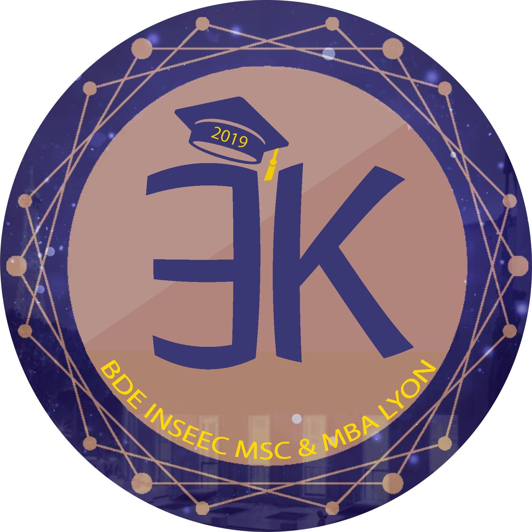 BDE Inseec MSc & MBA Lyon