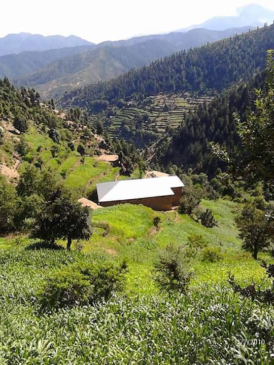 گران خوڑ | Turlandi
